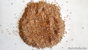 лен, рапс,  сафлор, горчицу, нут #1305736