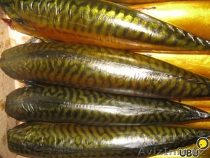 Скумбрия. Скумбрия (рыба без головы) холодного копчения 555 #1299963