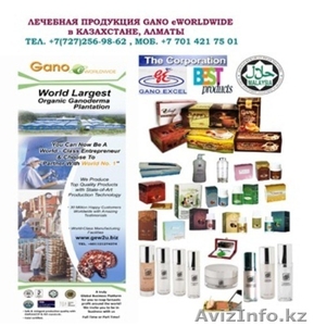 Проект «Мекка и Медина» #1300925