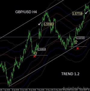 Обучение трейдингу,  форекс,  фьючерс,  металлы. #1300917