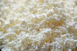 Творог,  оптом,  дешево,  325 тгкг #1303490