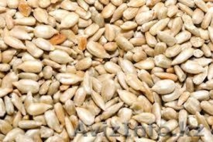 Продаю зерно черных семечек,  очищенные #1303052