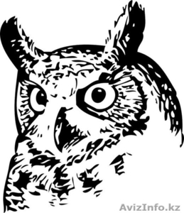 Юридические услуги г. Тараз #1300618