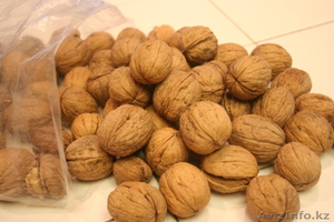 Оптом орех грецкий #1313871