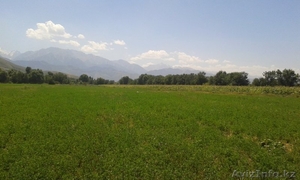 участок 50 соток в г. Талгар,  р-н Инкубатора #1125280