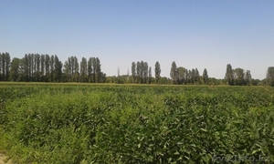 Участок 36 га в Талгарском районе #1125285