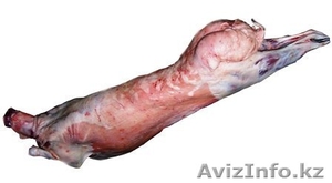 Халал мясо оптом и мелким оптом в Алматы #1313920