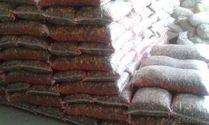 Фасоль красная и белая #1313876