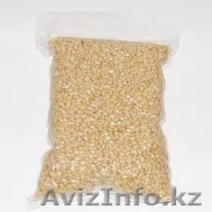 Продам ядро кедрового ореха оптом. Урожай 2015года. #1309753