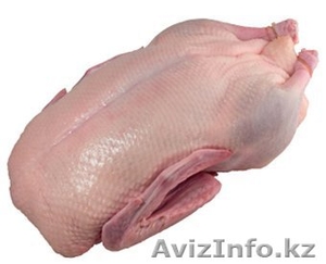 Замороженное мясо утки оптом и в розницу #1307748