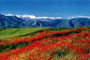 срочно продам участки !!!не дорого #1314124