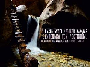 Научим Зарабатывать на рынке Forex #1324312