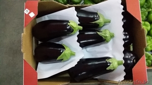 Баклажаны из Испании #1328785