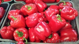 Перец. Прямые поставки из Испании #1328786