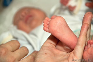 Видеосъемка детских праздников #1328013