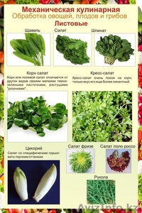 Наглядные пособия #1319709