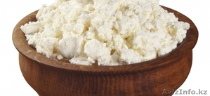 Творог домашний продаю #1322886