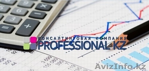 Professional kz #1324293