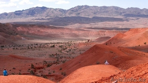 Наскучили туры выходного дня? Попробуйте новый маршрут - «дикий лес Bоguty»! #1321502