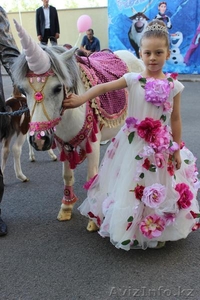 конь и   маленькая лошадка пони,   #1329854