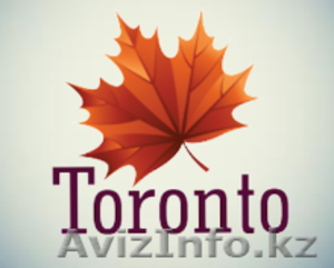 Чешский язык в мини-группе #1324113