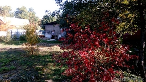 Дом продам,  Наурызбайский р-он,  Каменка( Таусамалы),  торг,  срочно #1323666