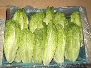 Салат из Испании #1328768