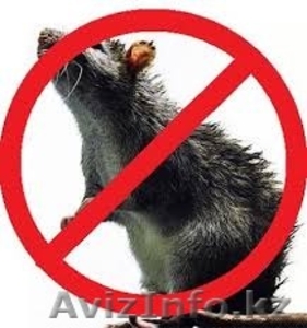 Уничтожение грызунов и насекомых Астана #1329694