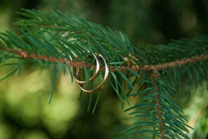 Видеосъемка Full HD,  фотосъемка недорого #1327236