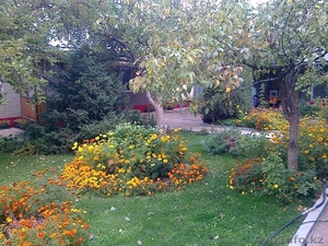 Продам  срочно дом . Торг уместен #1329103