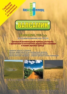 Гербицид Валсамин (2, 4Д аминная соль) #1326833