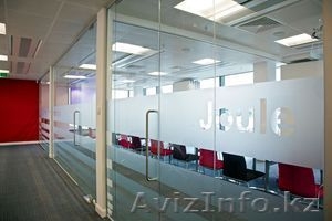 Матовая тонировка #1333756