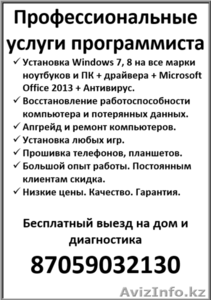 Профессиональные услуги программиста. #1335725
