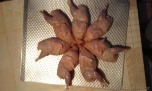 Тушки перепелов #1337694