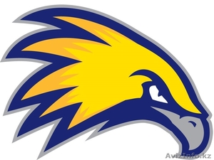 Заправка и ремонт картриджей!Быстро!Качественно!Гарантия! #1338559