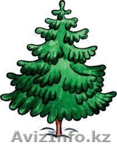 Ёлка Приму в дар #1331340