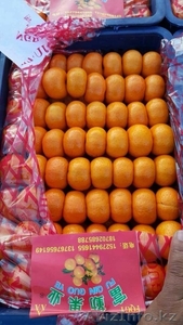 Мандарины медовые оптом! #1339775