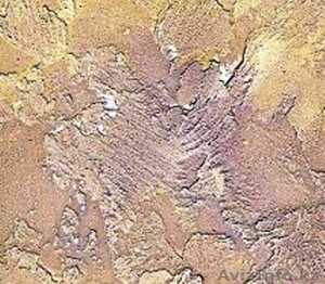 делаем ремонт и декоративную отделку в квартирах и домах #1343020