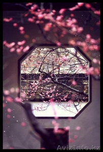 Китайский язык с НОСИТЕЛЕМ от Open Door! #1339234