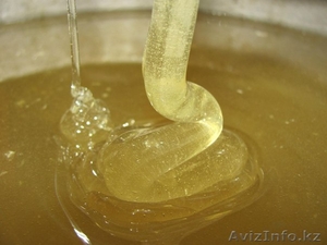 мёд натуральный от пчёлки #1339940