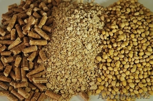 Поставки кормов и кормовых добавок для сх животных #1338810