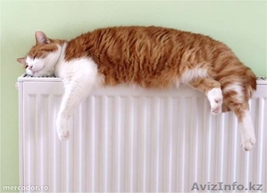 Иван. Монтаж отопления,  сварочные работы. ИП. #1333162