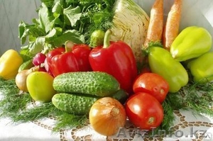 Капельное орошение овощных культур под ключ #1237991