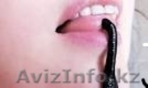 медицинская пиявка #1336585