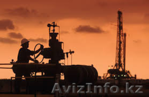 Разрешение на применение на территории Республики Казахстан,  дубликаты паспортов #1341067