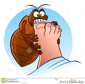 Дезинсекция —  уничтожение насекомых. #1342426