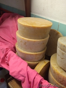 Пчелиный воск для продажи #1337876