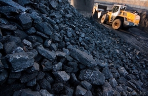 Вам нужен уголь? #1345629