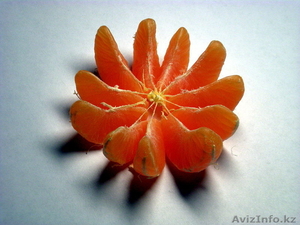 Mandarini iz Gruzii #1350644