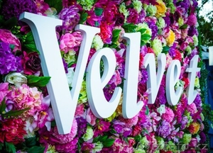 РестоБар VELVET #1351709